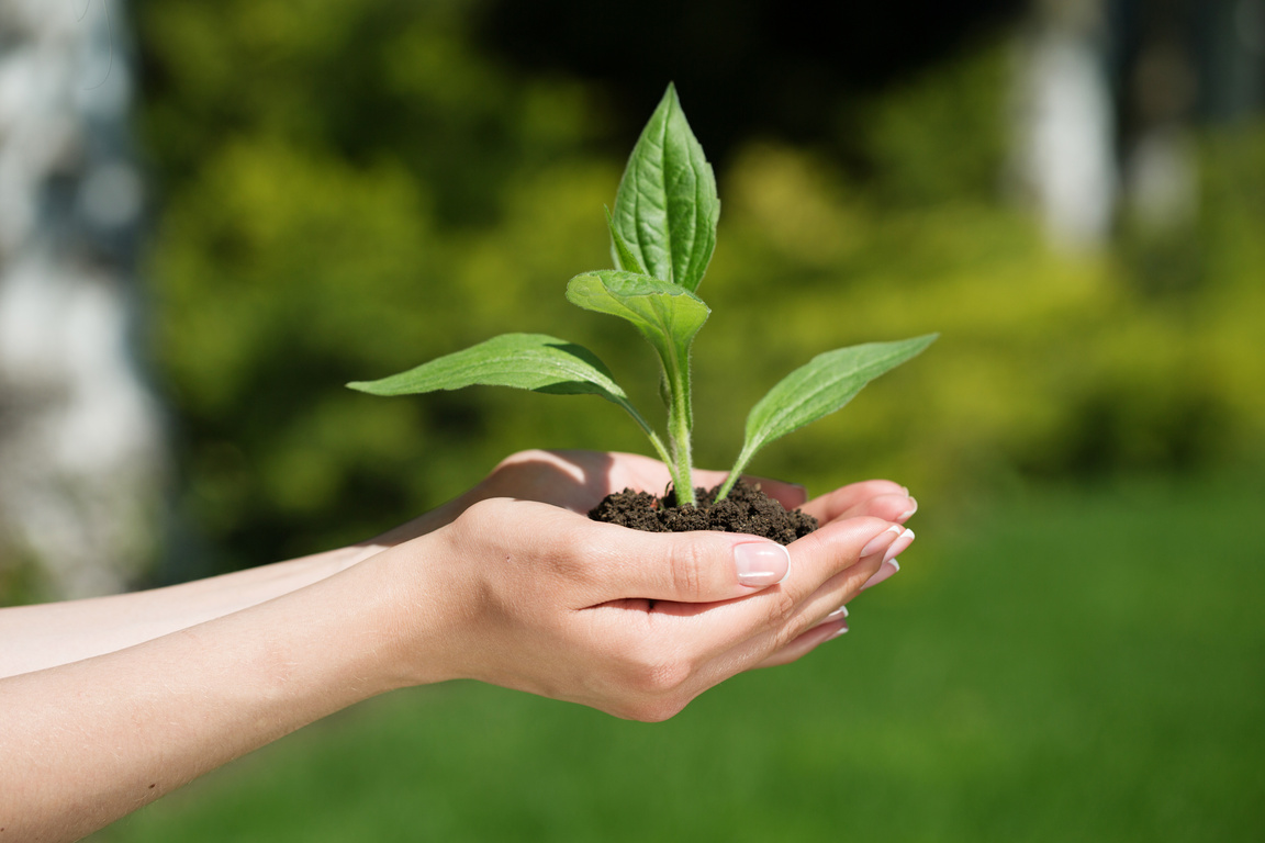 Server and Workstation Hardware